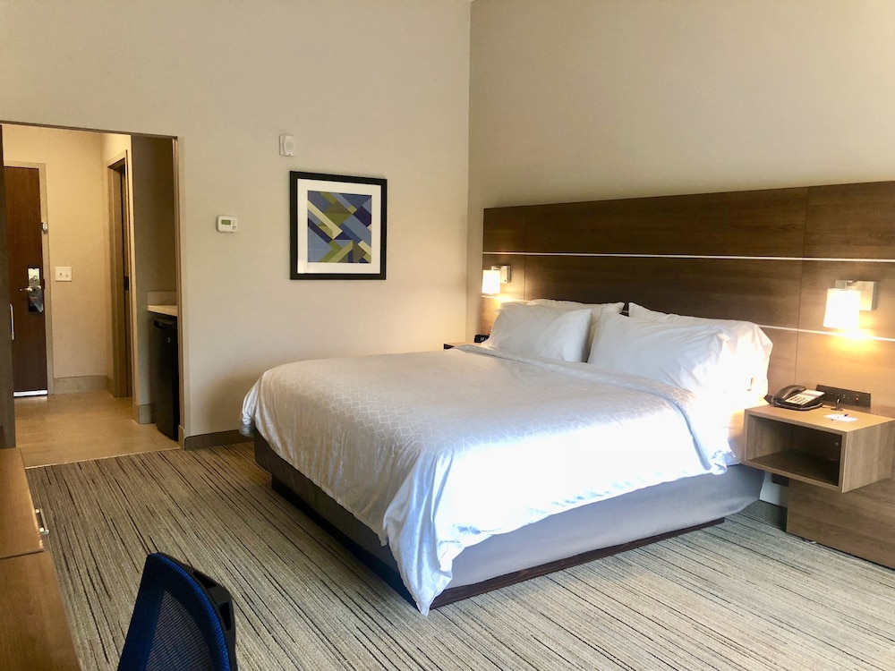 Holiday Inn Express Macon North 15/69