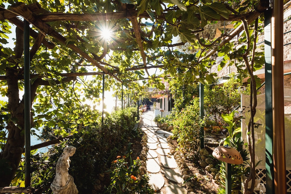 Orto Paradiso 21/31
