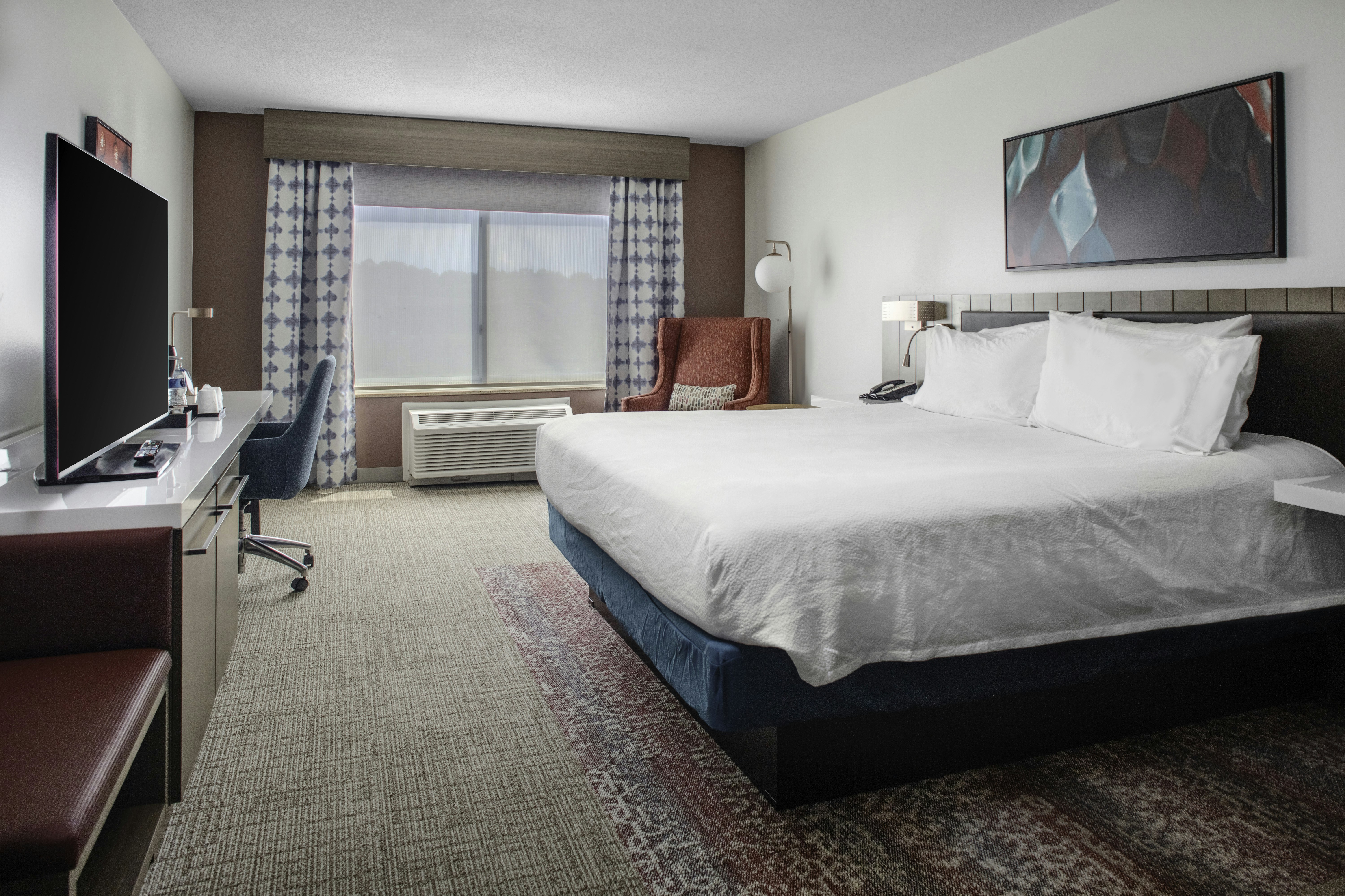 غرفة بسرير كينج لذوي الإعاقة، Hilton Garden Inn Roanoke Rapids 2/4