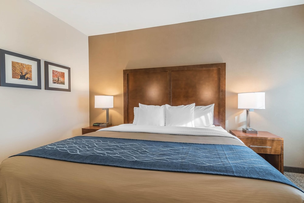 Comfort Inn Concord South End 13/40