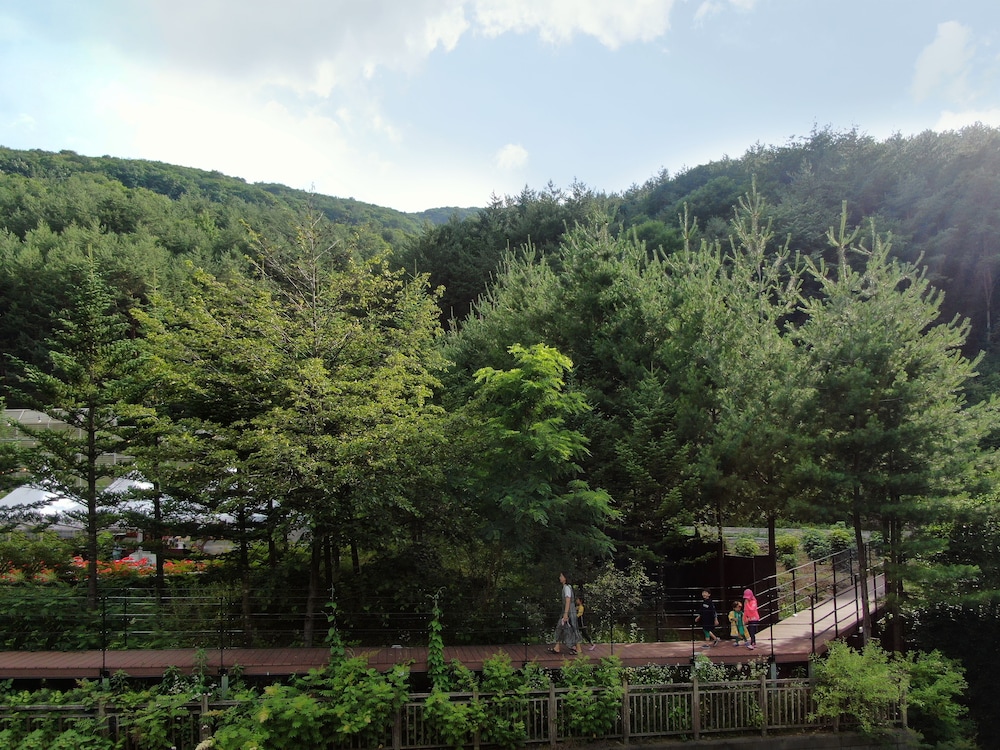 Mayhills Resort 45/50