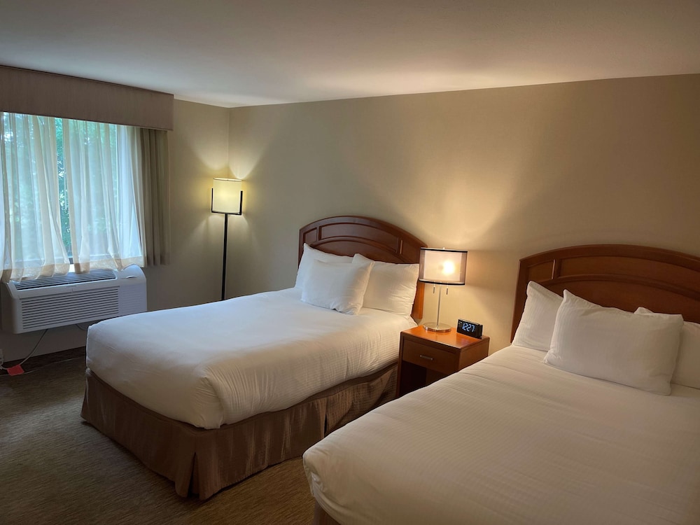 Best Western Dubois Hotel 9/42