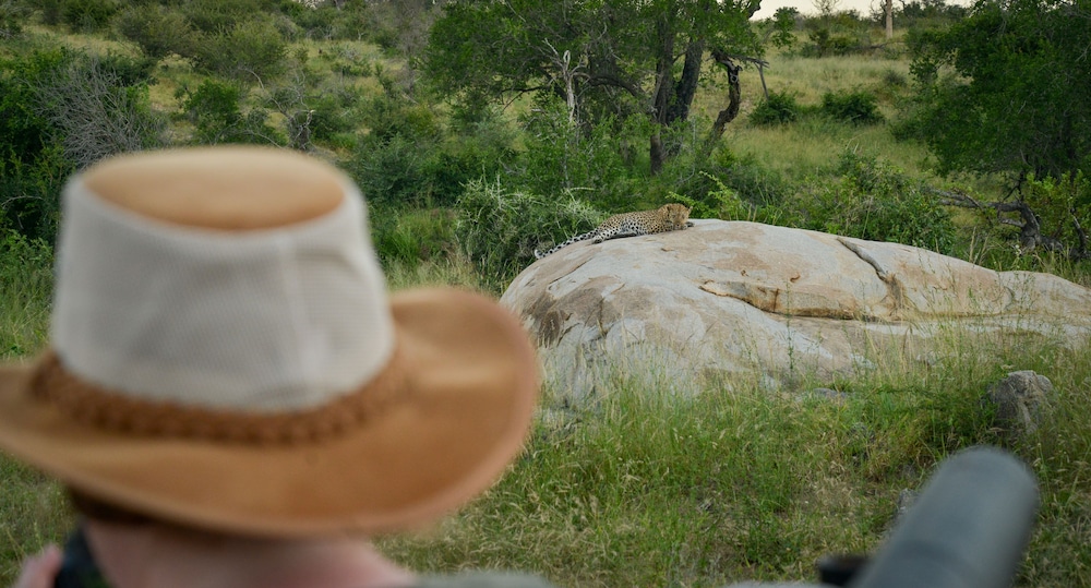 Lion Sands Kruger National Park 13/50
