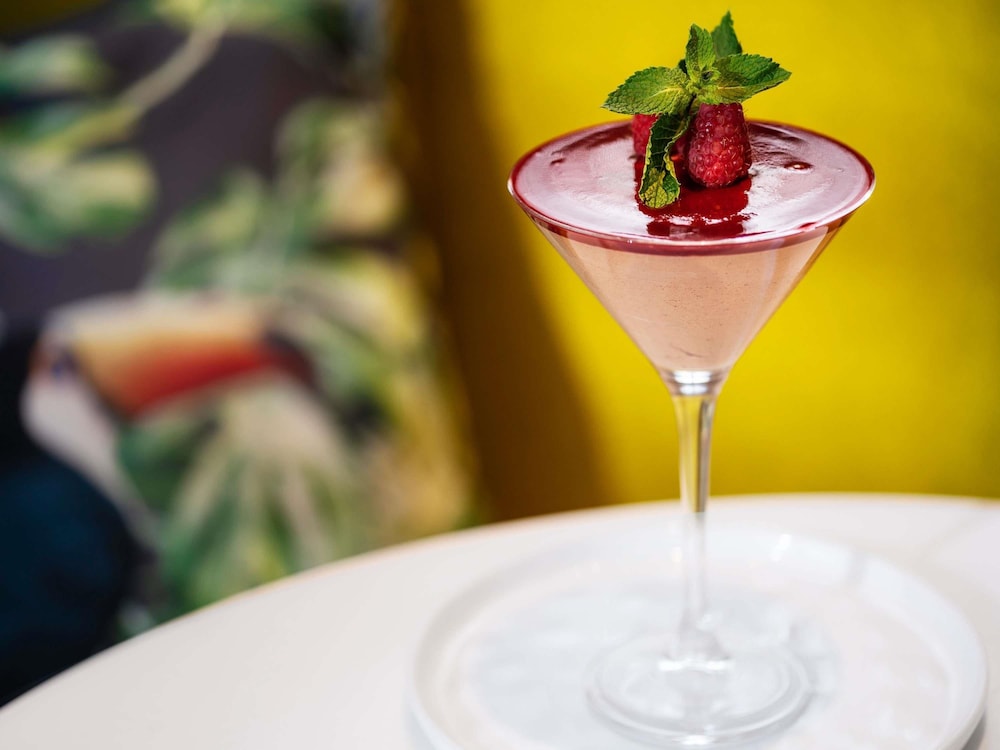 Novotel Paris Coeur D Orly Airport 26/72
