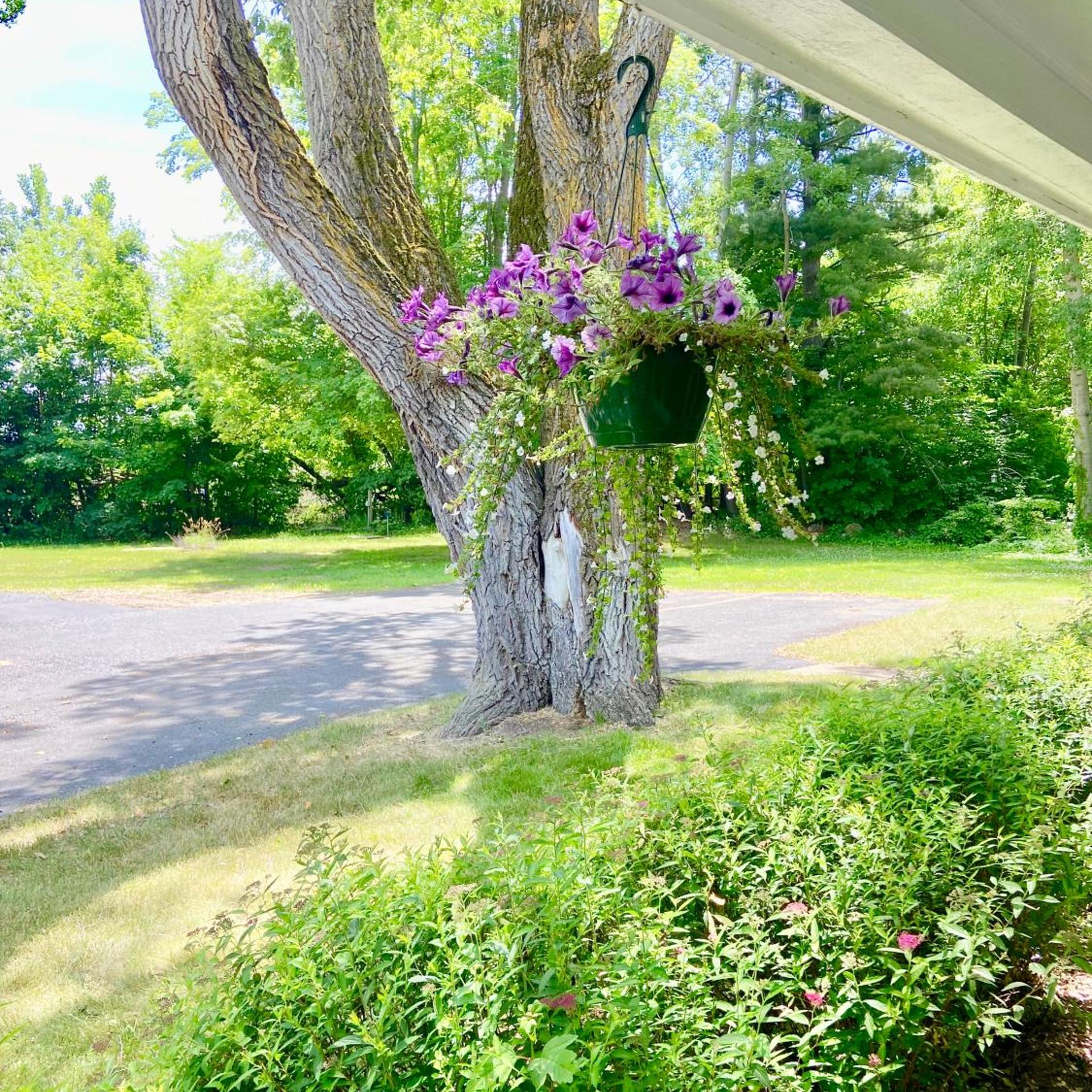 Elk Rapids Lakeshore Inn 30/42