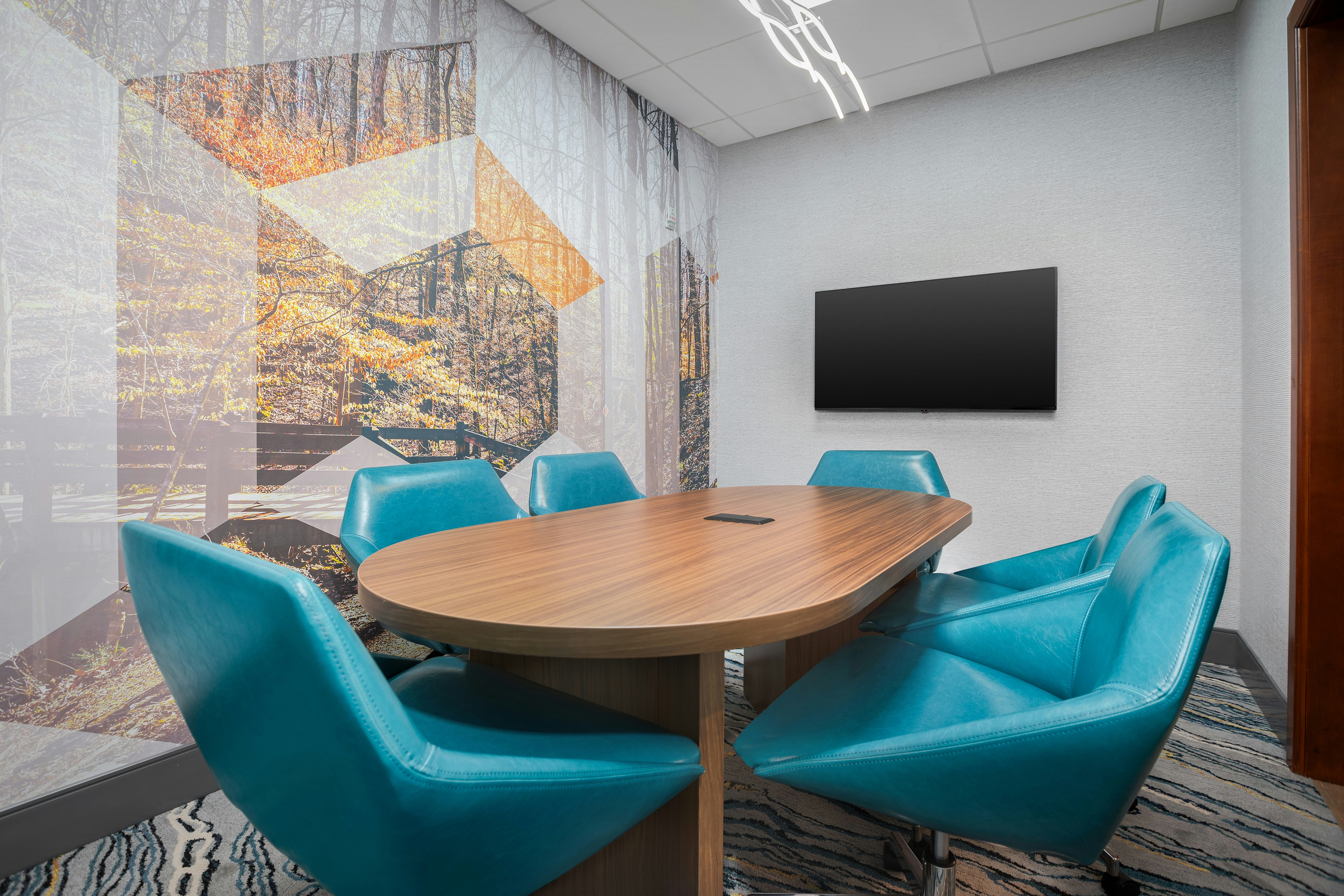 Hampton Inn Suites Atl Six Flags 45/61