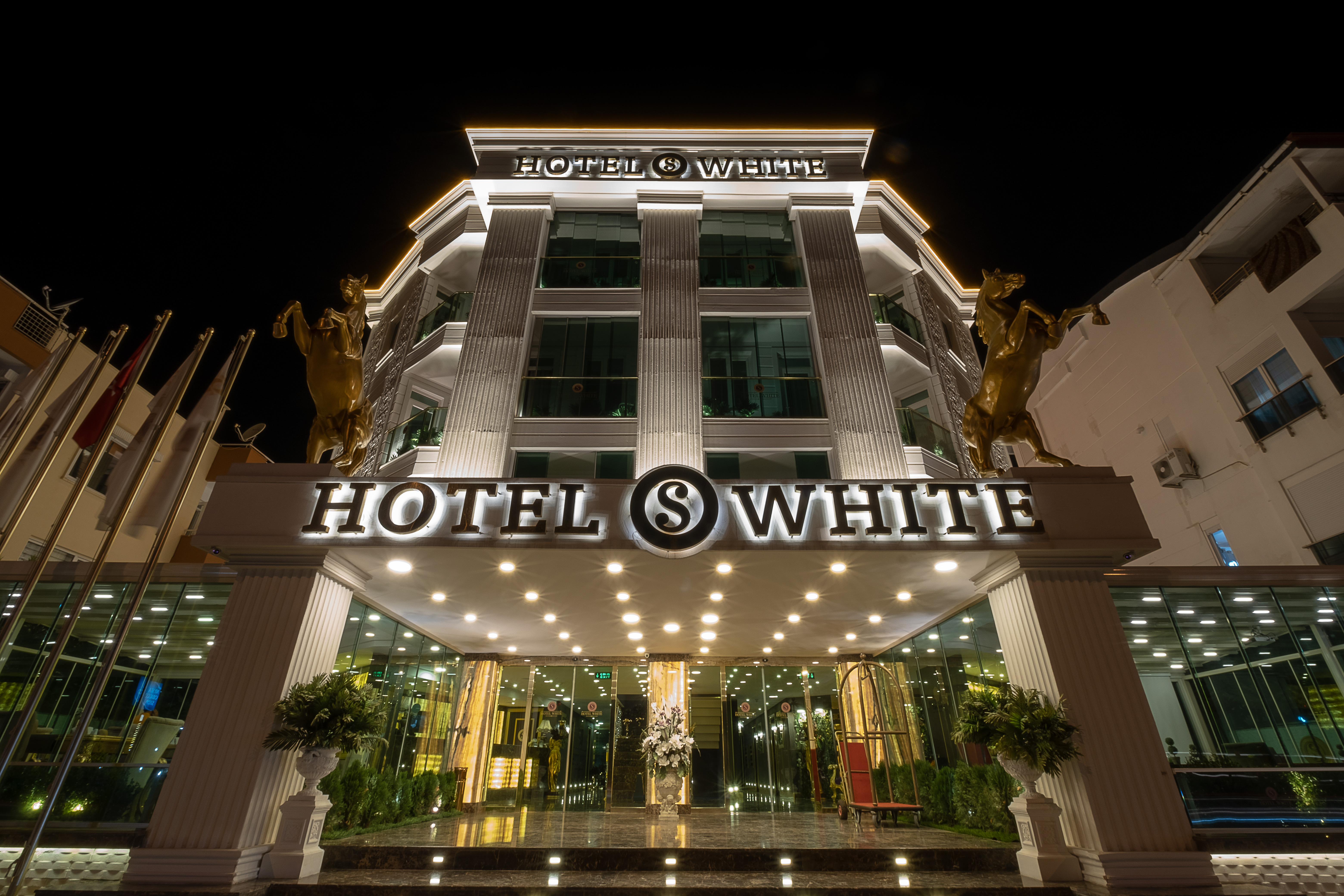 S White Hotel 1/67