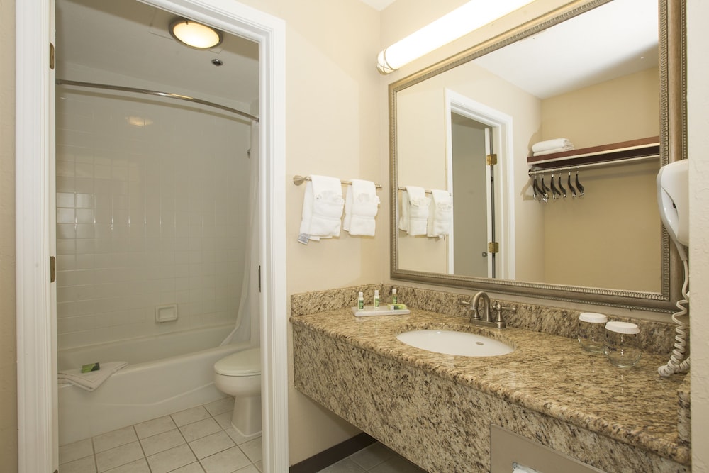 Ivy Court Inn And Suites 49/49