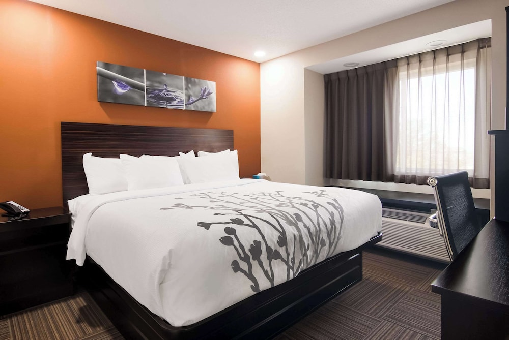 ROOM, KING BED