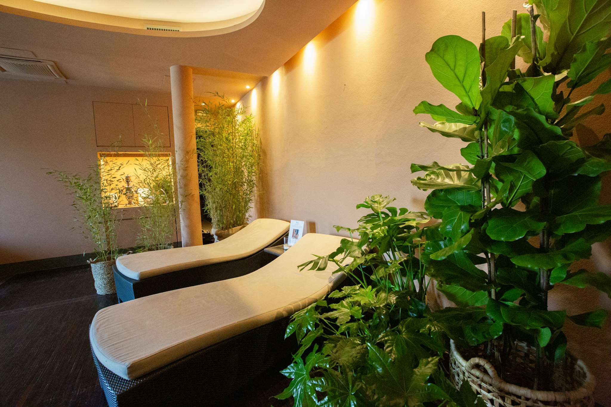 Relais Villa D'Amelia 20/50