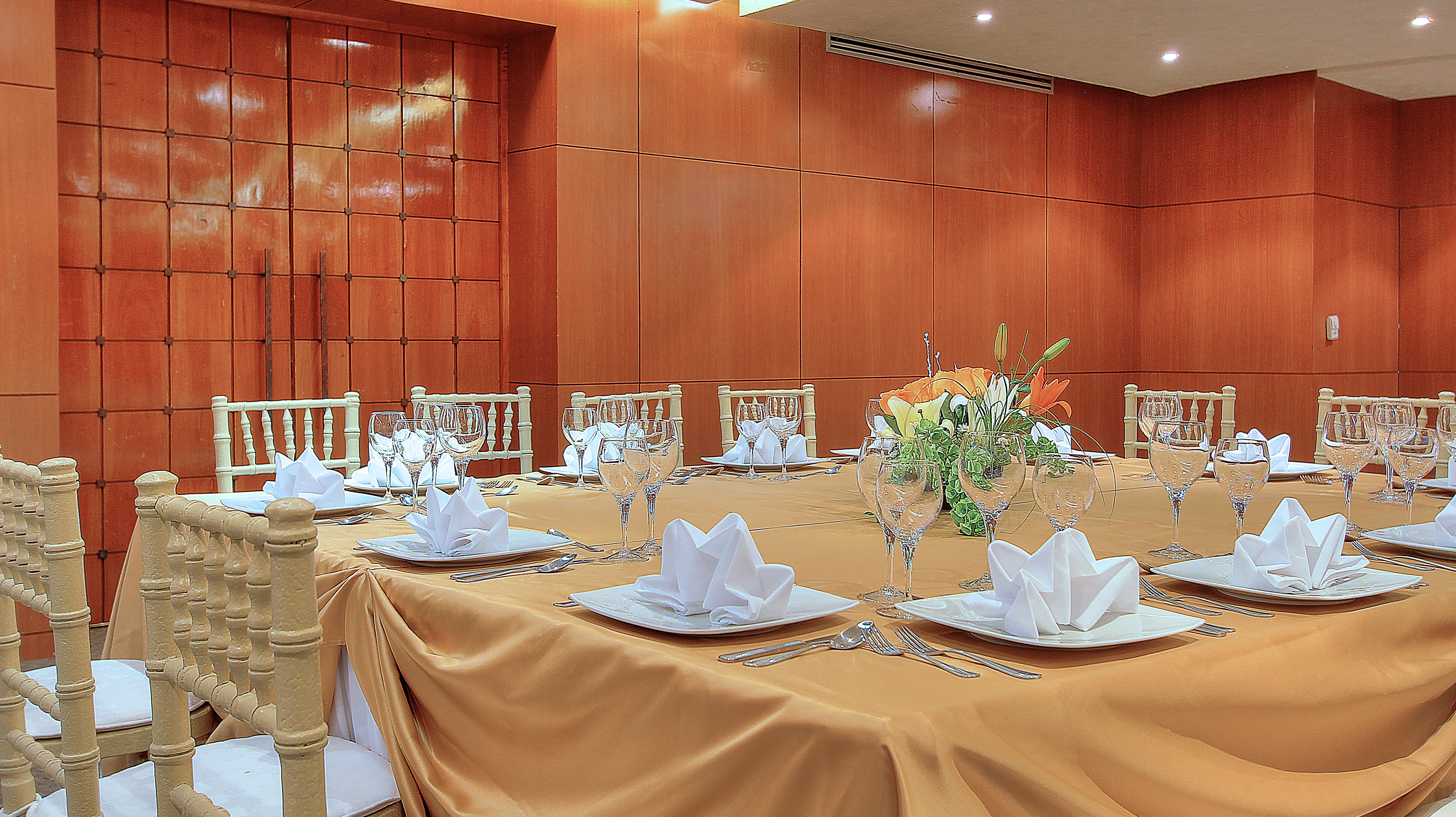Fiesta Inn Villahermosa Cencali 27/50