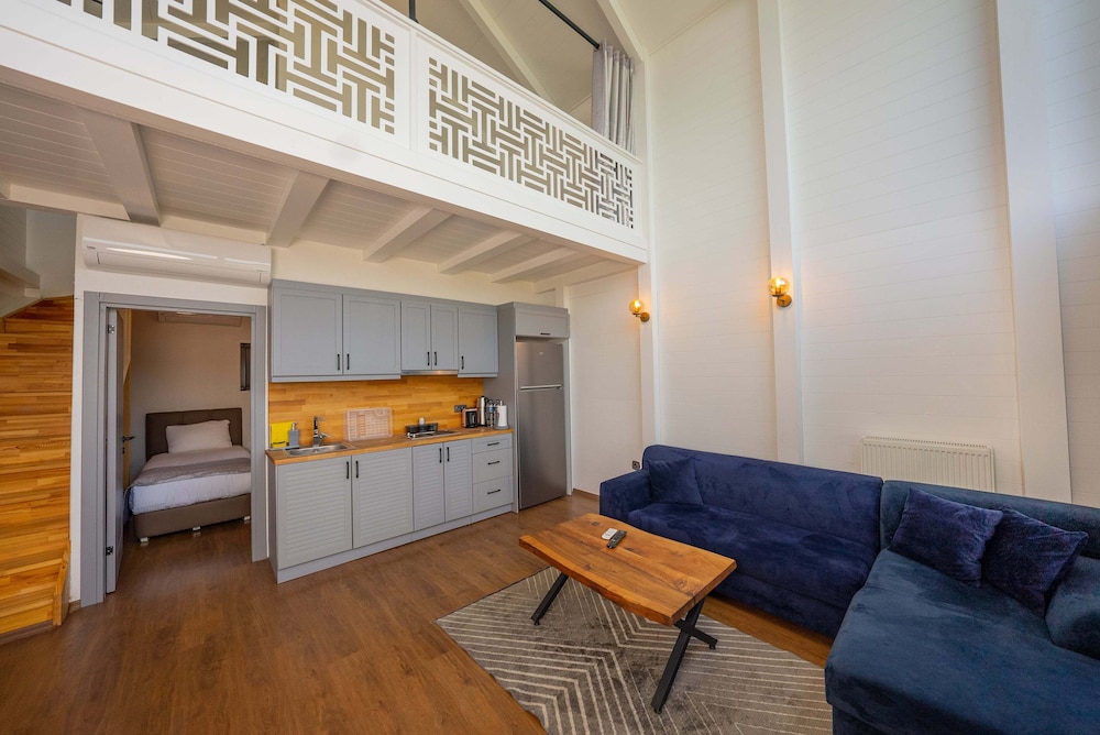Alya Kartepe Villa Hotel 17/50