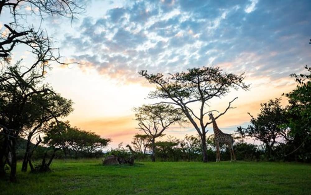 Likweti Lodge 37/45