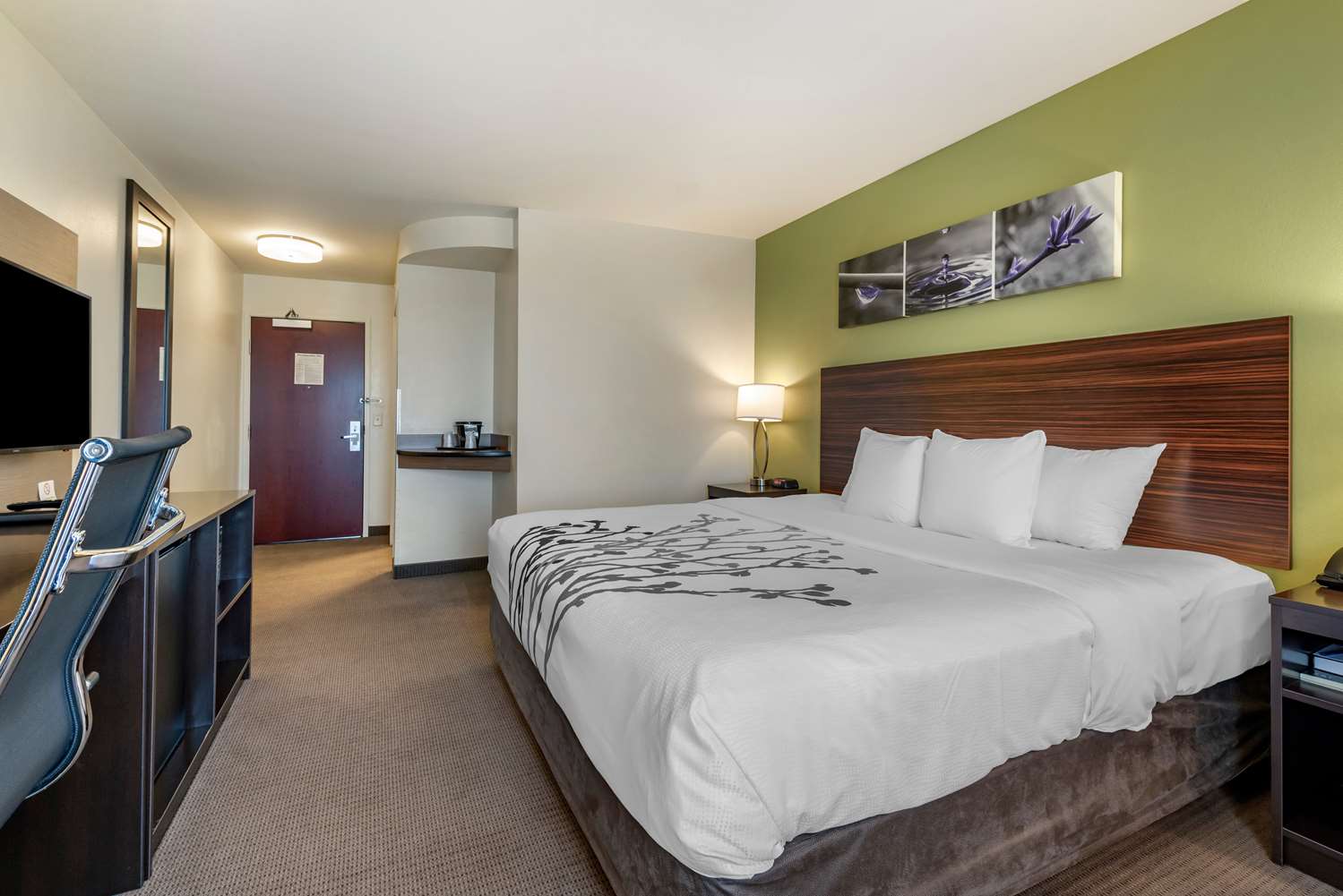 Sleep Inn & Suites Oakley I-70 5/16