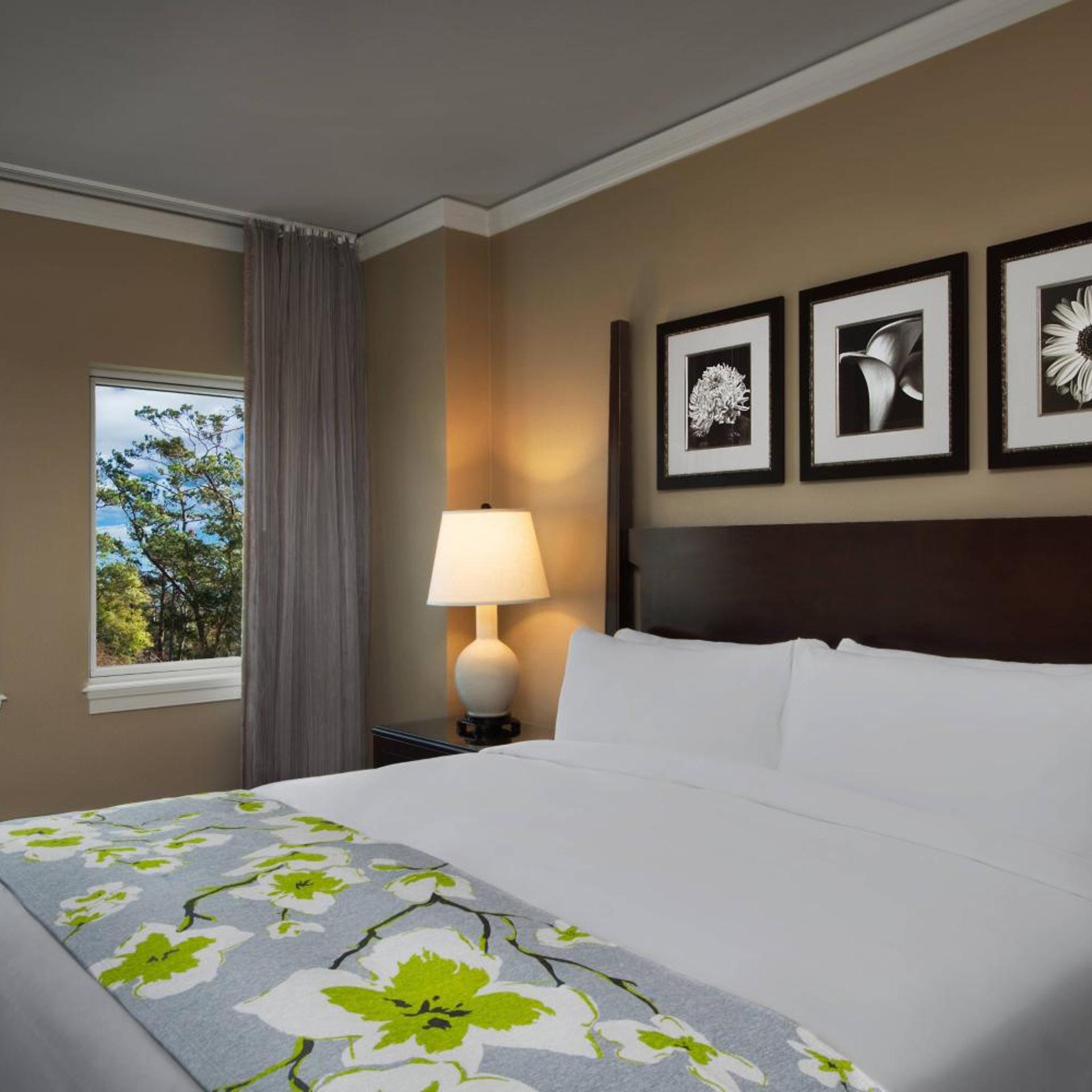 فيلا بإطلالة على الحديقة بشرفة بغرفتي نوم، Marriott's Oceanwatch Villas At Grande Dunes 3/7