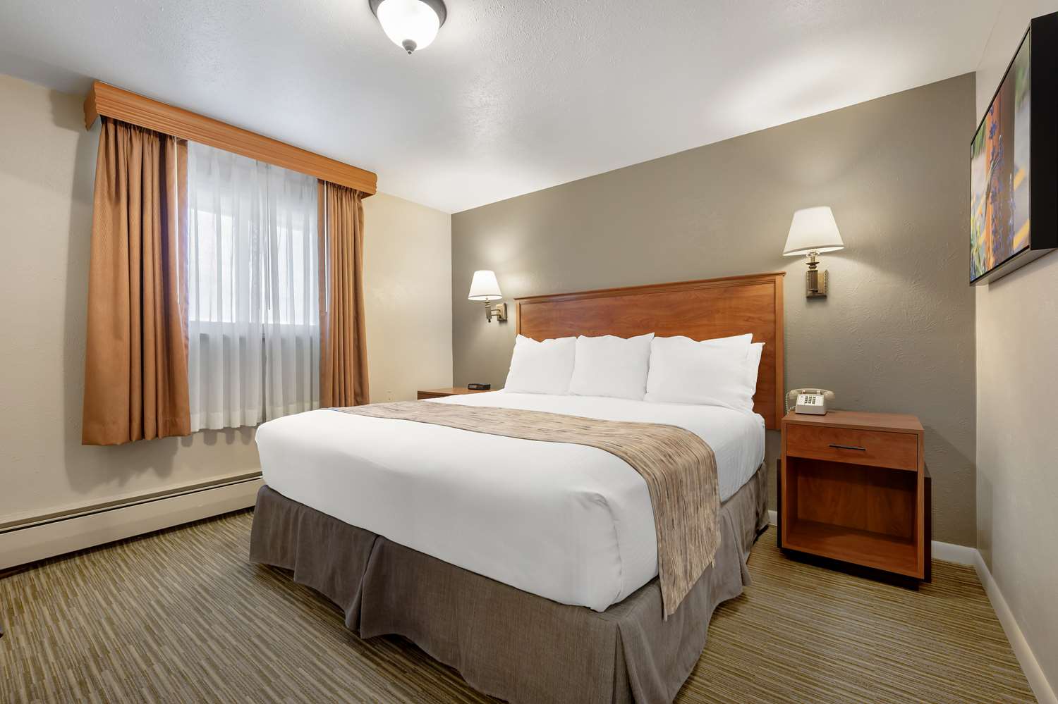 Room, King Bed, Sofa, Pet Friendly