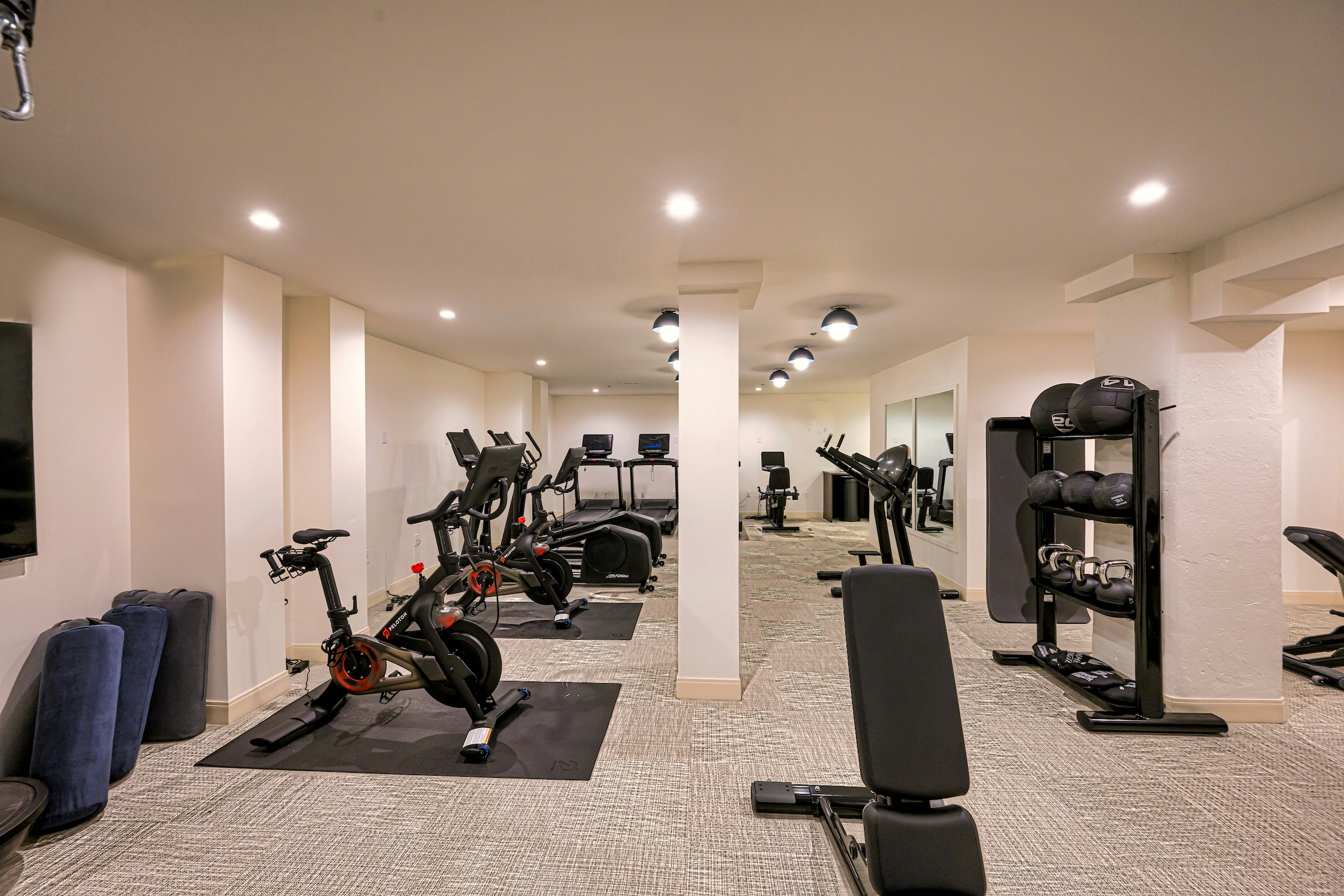 Hotel Heron Alexandria Old Town, Curio Collection by Hilton 23/50
