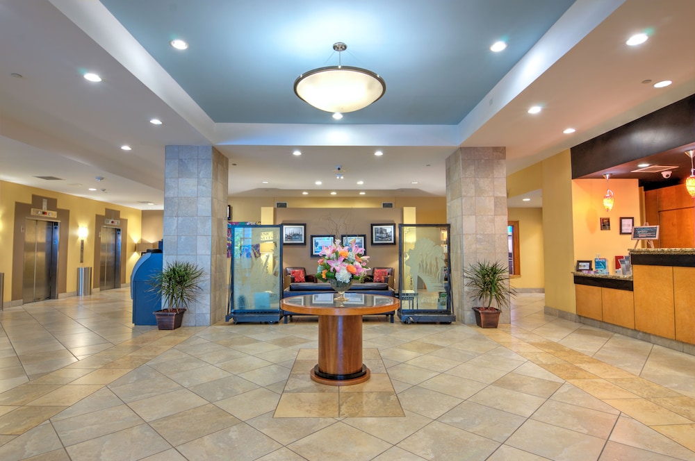 The Barrymore Hotel Tampa River Walk Formerly Howard Johnson Plaza Tampa Downtown 5/60