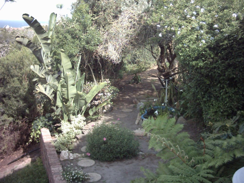 Dolphin View Guesthouse 35/50