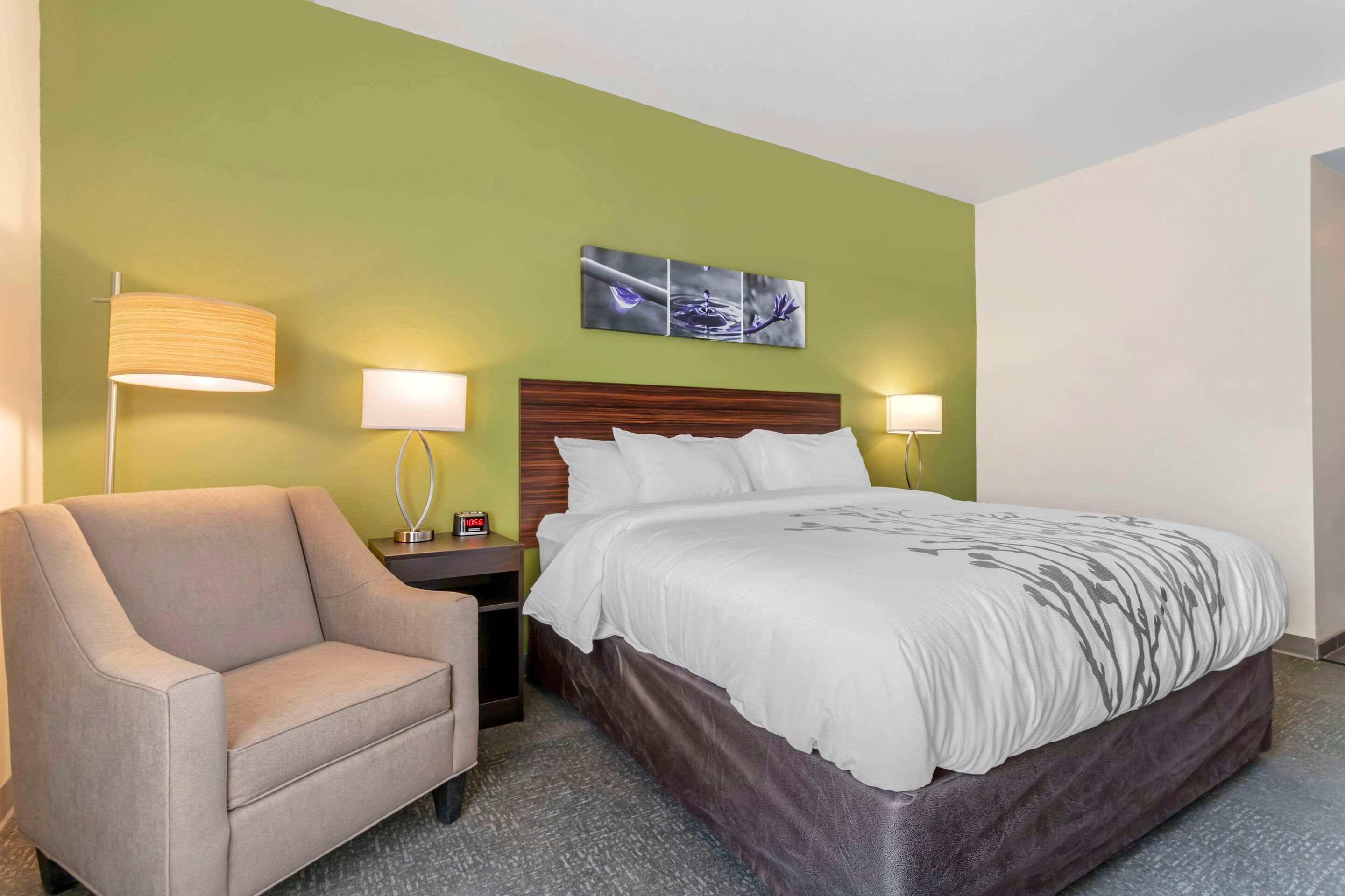 Efficiency, King Bed, Accessible