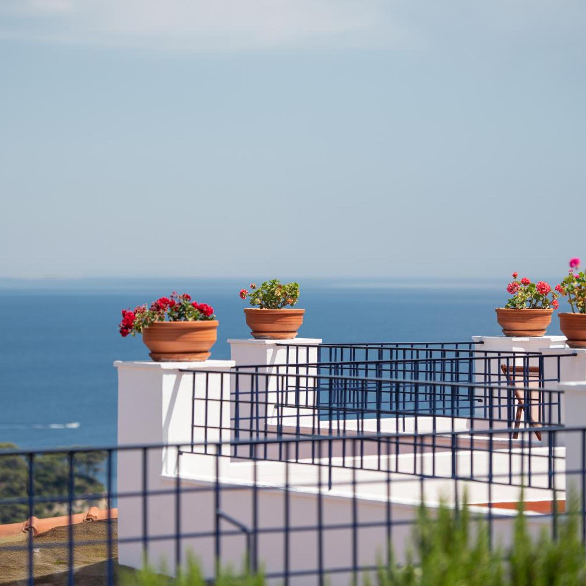 Atrium Hotel Alonissos 7/58