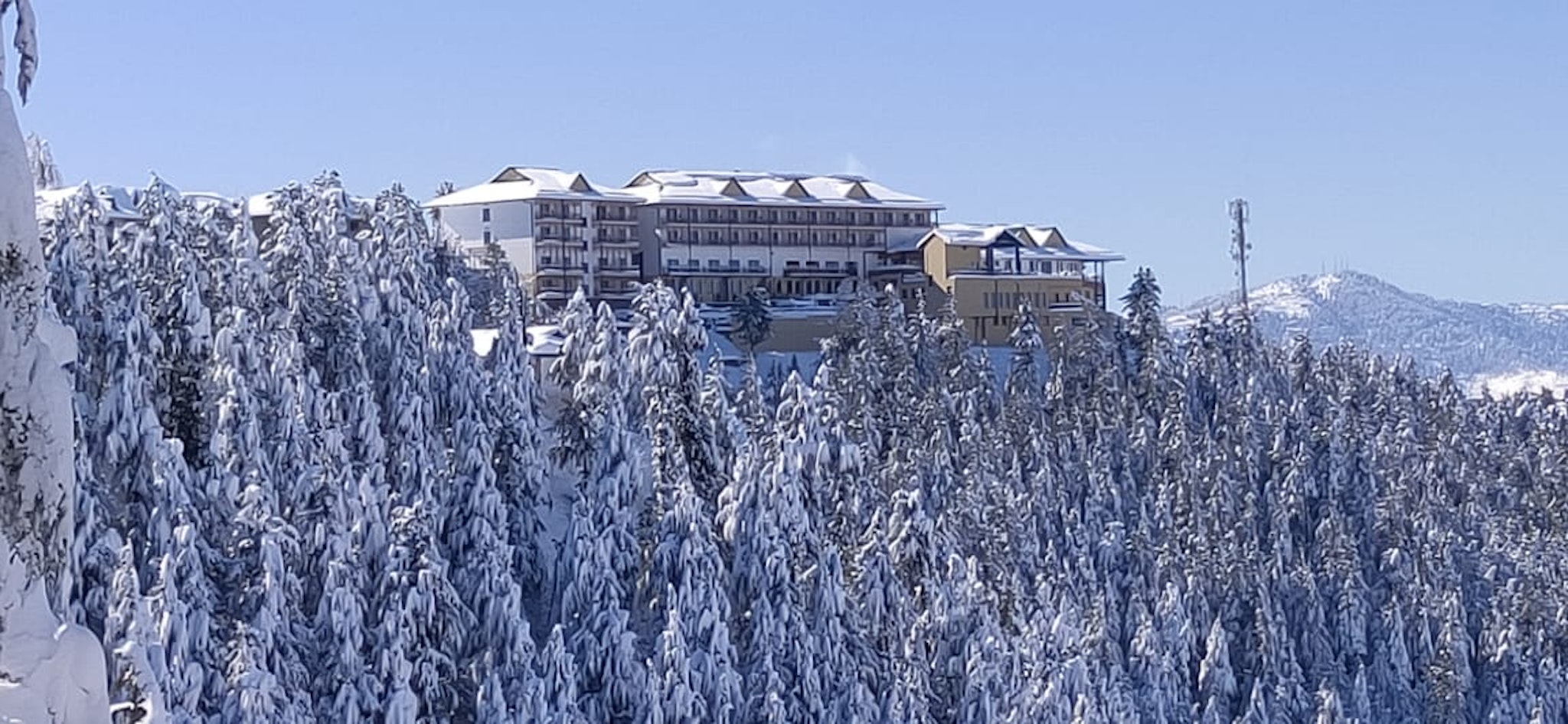 Taj Theog Resort And Spa Shimla 45/45