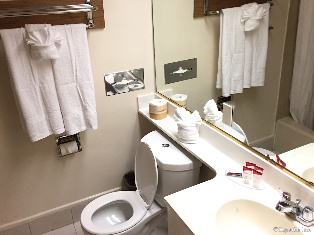 Anaheim Discovery Inn Suites 31/68