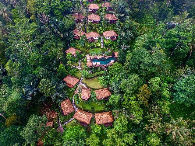 Royal, Suite, Forest View