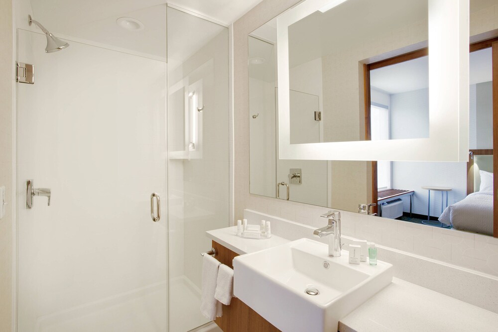 Springhill Suites Murray 10/43