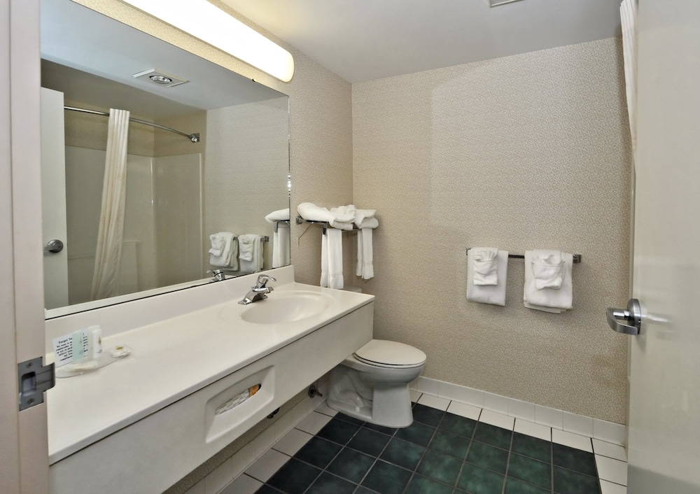 Comfort Inn Airport Roanoke VA 16/53