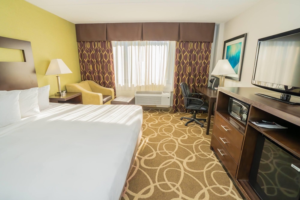 ROOM, KING BED, PET FRIENDLY