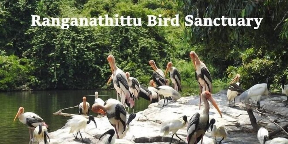Sandesh the Prince 50/51