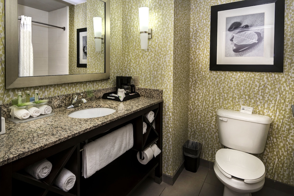 Holiday Inn Express Hotel Suites Conway 17/54