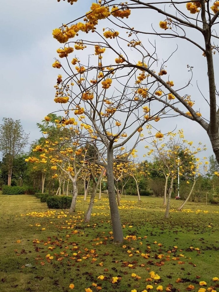 Suan Phueng Pa Wai Resort 30/50