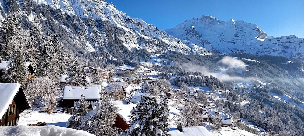 Hotel Bellevue Wengen 39/50