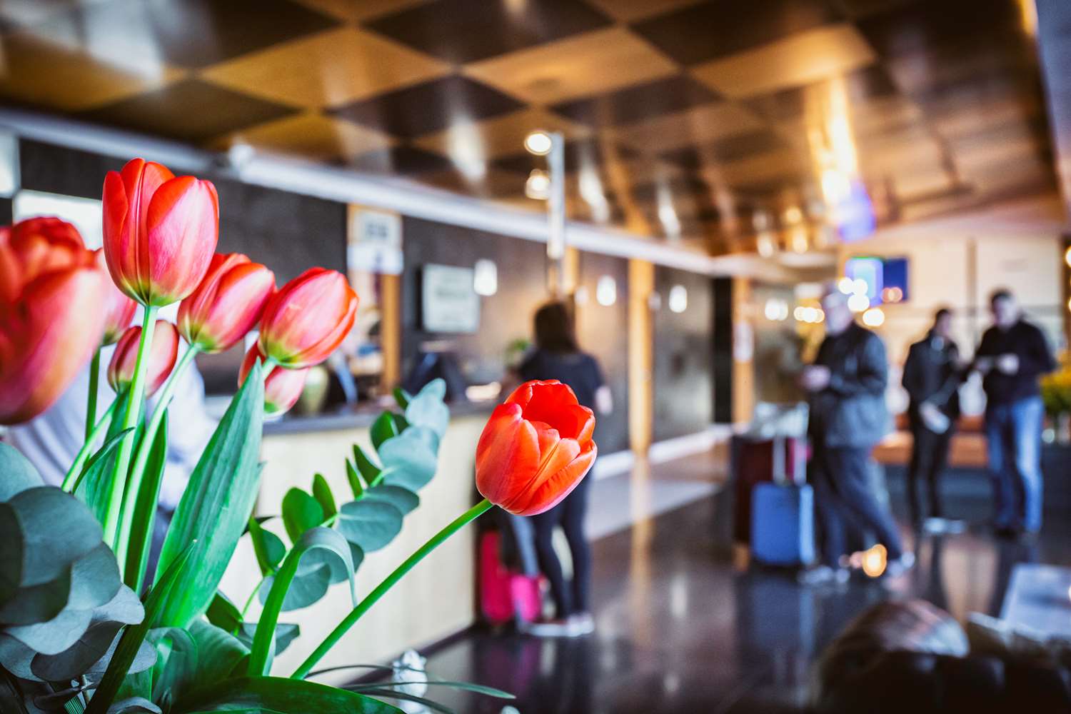 Best Western Plus Hotel Alfa Aeropuerto 32/47
