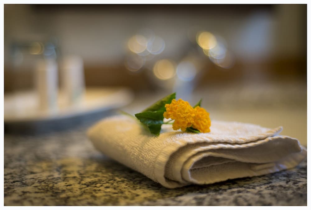 Bijolai Palace A Inde Hotel Jodhpur 18/50