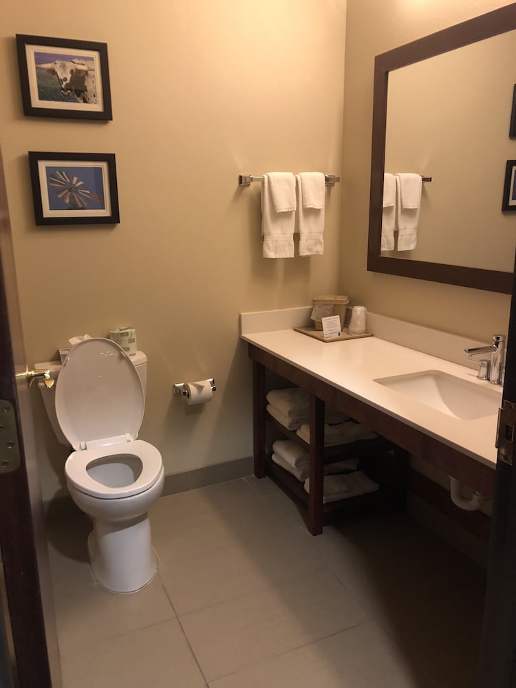 Comfort Inn Early Brownwood 10/32