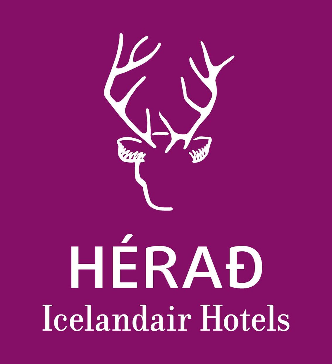 Herad - Berjaya Iceland Hotels (ex Icelandair Hotel) 19/44