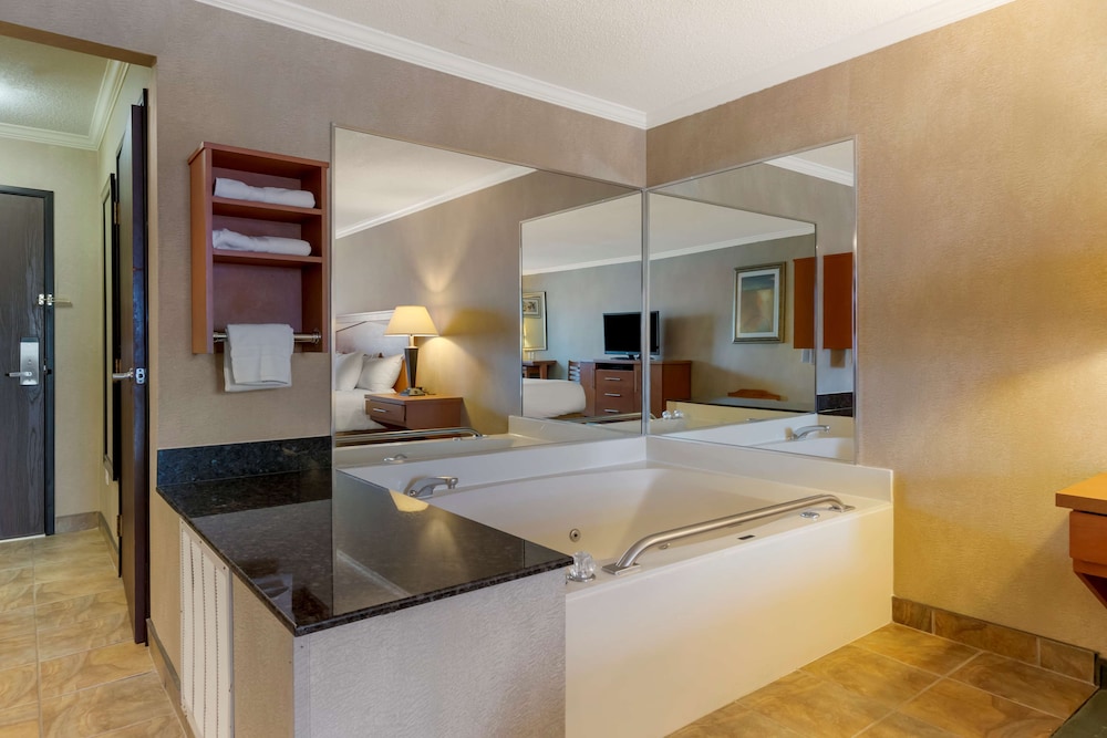 Best Western Davison Inn 29/43