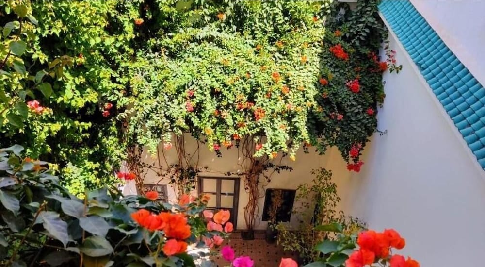 Riad Begonville 45/54