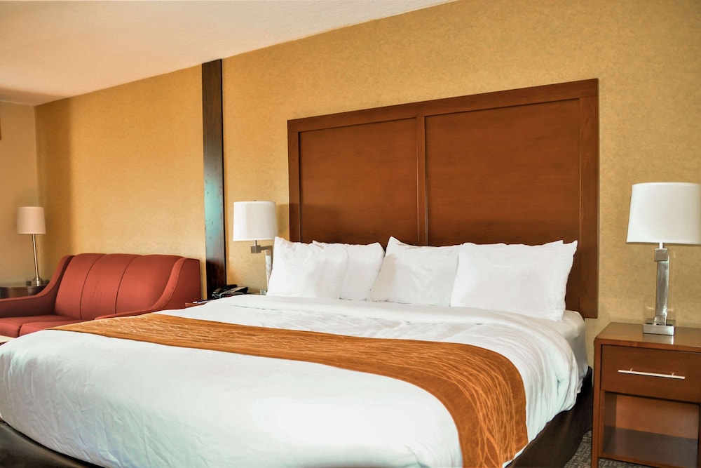 Comfort Inn & Suites Vancouver Downtown City Center 18/48