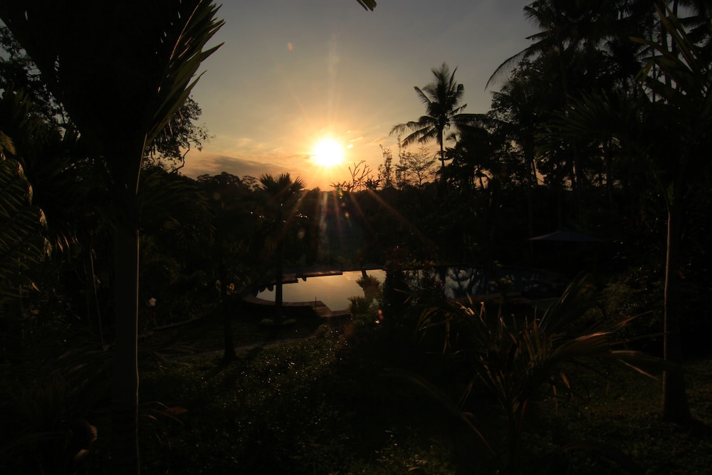 Villa Capung Mas 10/24