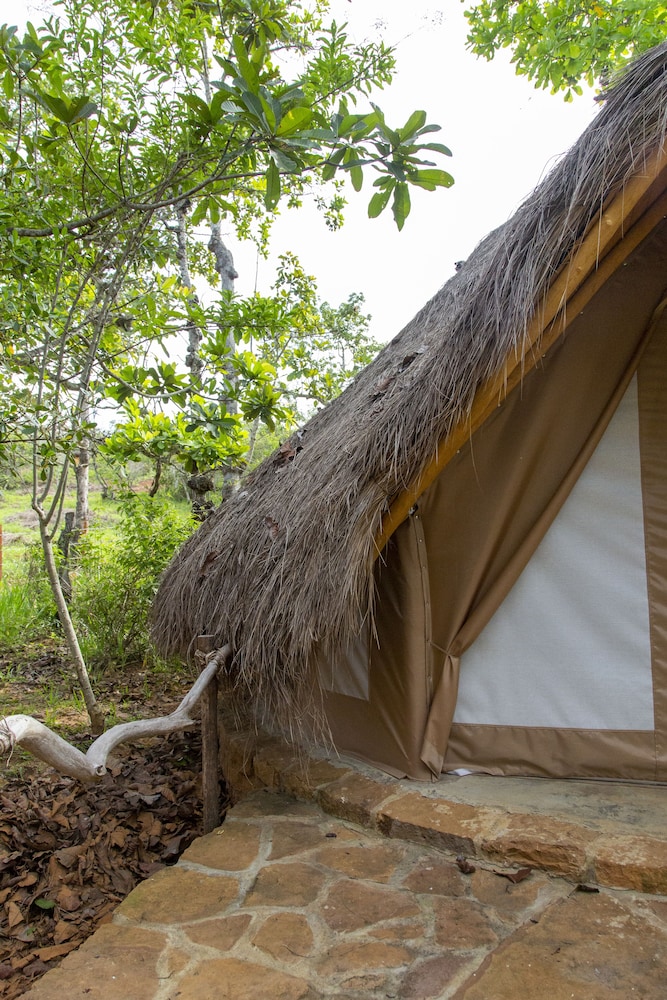 Nativo Glamping 18/48