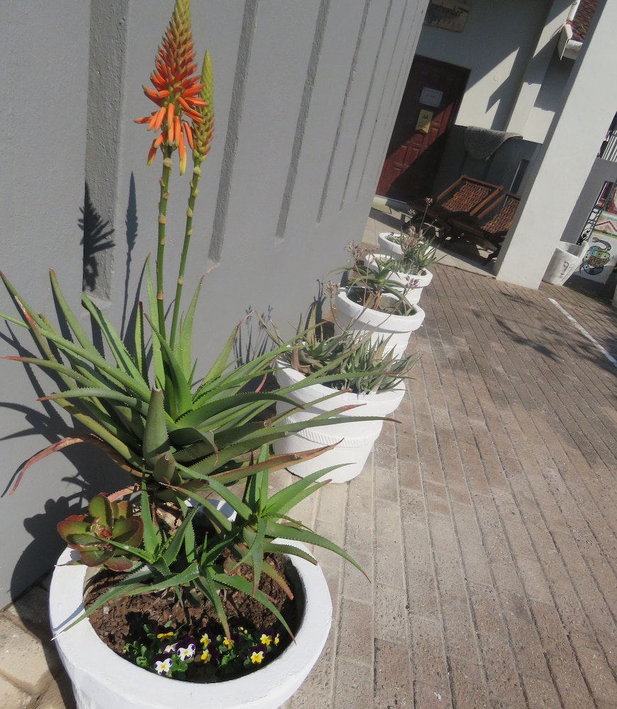 Beachcomber Bay Guest House 10/50