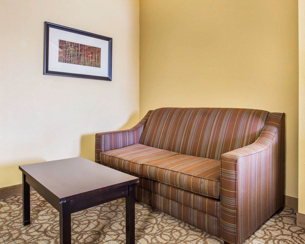 Comfort Inn Suites At Stone Mountain 29/39