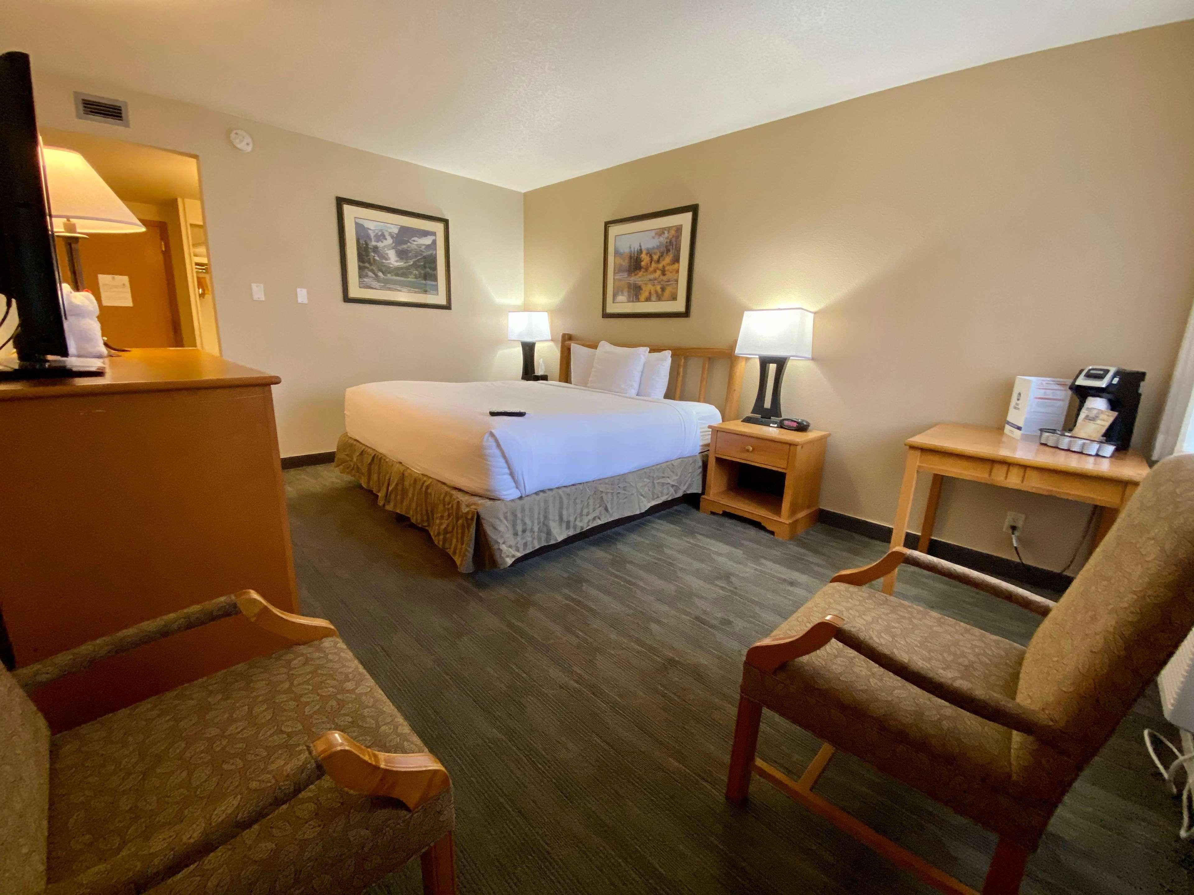 Room, King Bed, Pet Friendly
