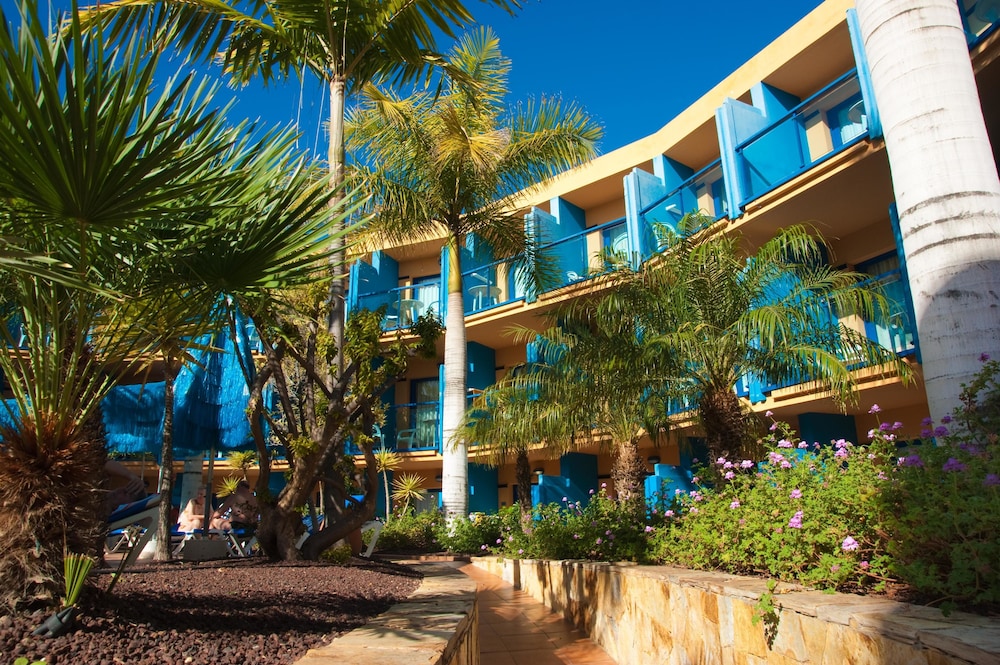 BLUESEA Jandia Luz Apartamentos 60/64