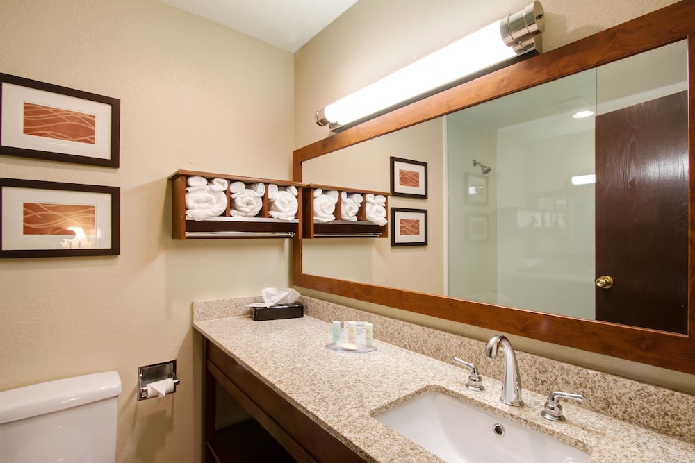 Comfort Inn & Suites Bellevue - Omaha Offutt AFB 17/42