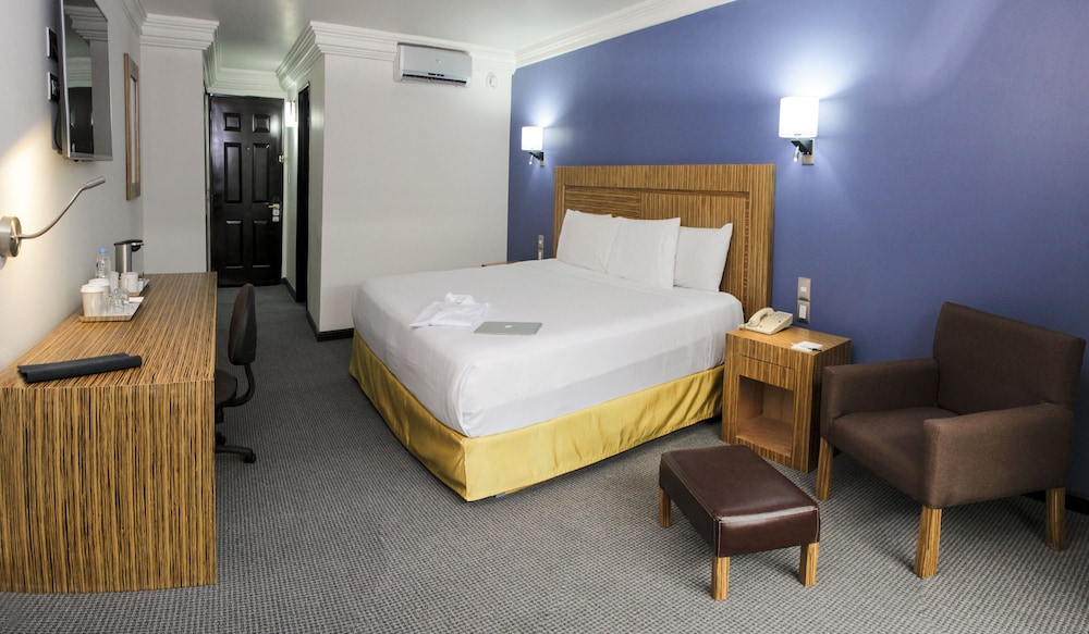 Radisson Hotel & Convention Center Toluca 16/50